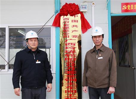 發(fā)揮戰(zhàn)斗堡壘作用！冶建又一個項目部黨支部揭牌