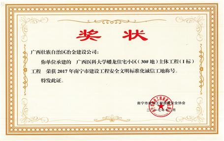 南寧分公司四個(gè)項(xiàng)目獲表彰！