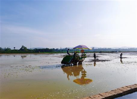 千畝“瘦地”變“肥田”丨石碑坪“旱改水”項(xiàng)目出成效，助力鄉(xiāng)村振興