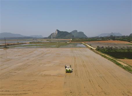 144公頃高標(biāo)準(zhǔn)農(nóng)田通過驗收