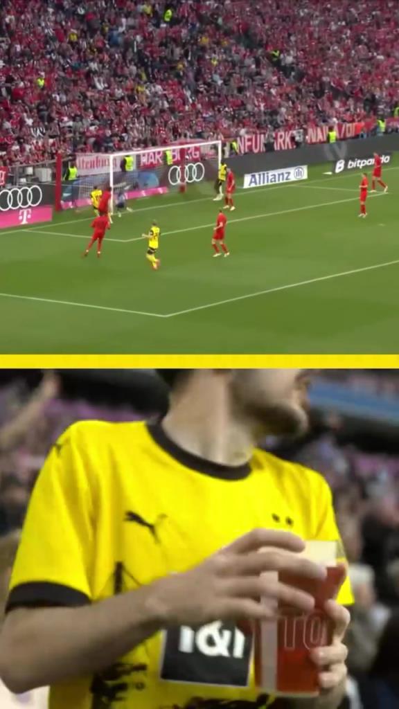 勇者無(wú)懼！這是真多特球迷！在拜仁球迷區(qū)一個(gè)人肆意慶祝！